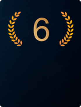 Premio di design della spilla d'oro